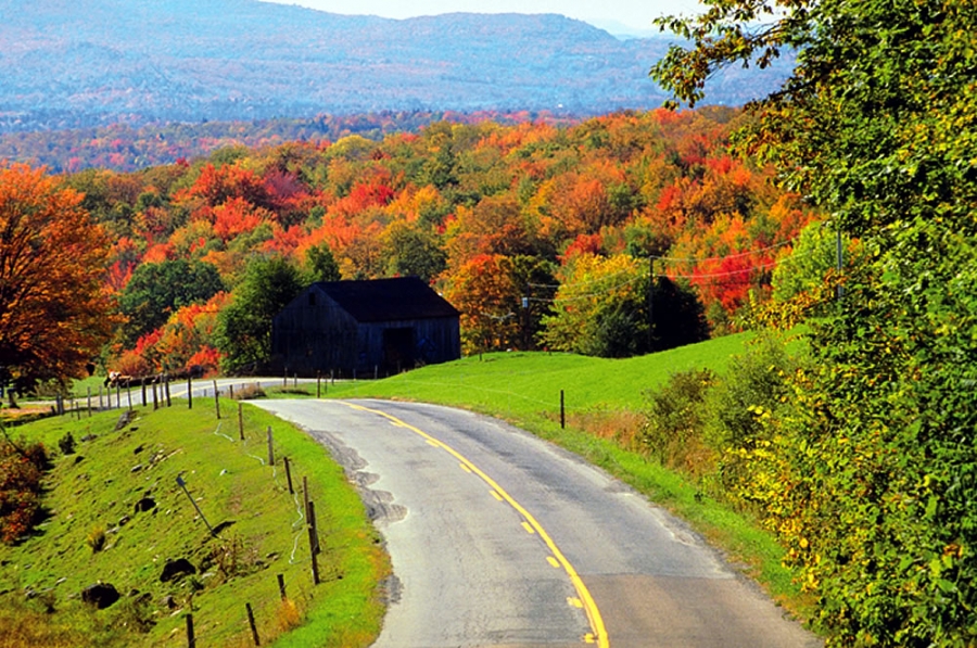 Plan Your Fall Foliage Excursion | Travel Dreamz Travel Agent